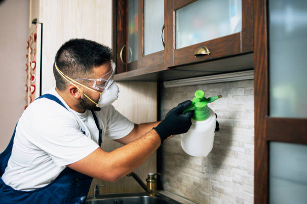 Best Pest Prevention Services  in Stockton, CA