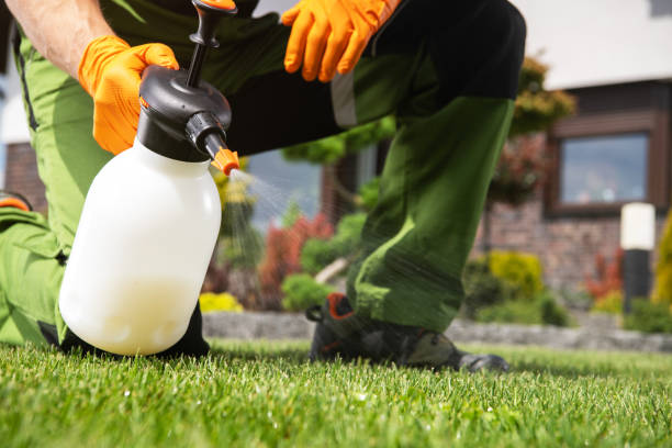 Best Pest Removal Services  in Stockton, CA