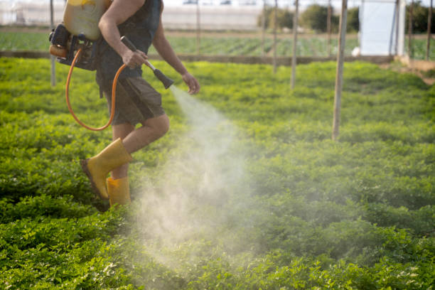 Best Pest Control for Homes  in Stockton, CA