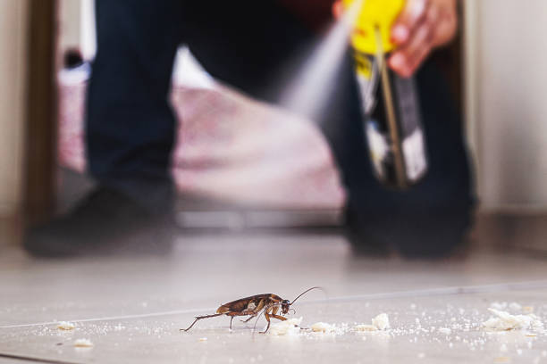  Stockton, CA Pest Control Pros