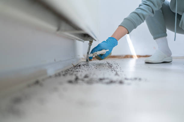 Best Pest Control Treatment  in Stockton, CA