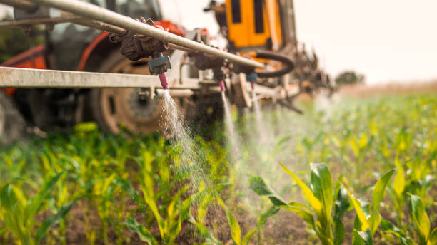 Best Mosquito Control Services  in Stockton, CA